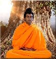 A Journey of Samyak Buddha